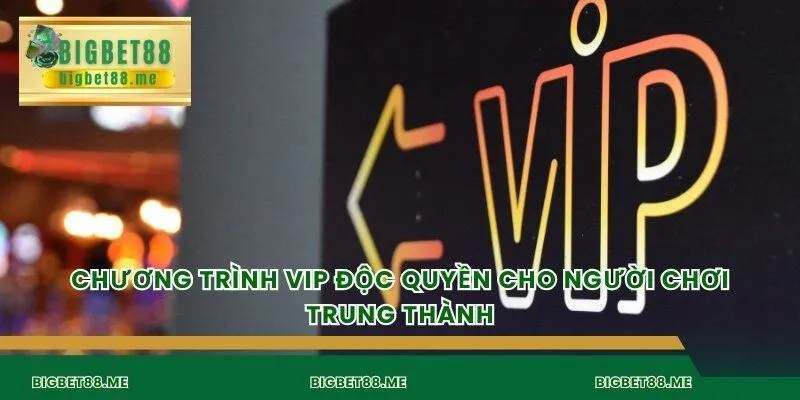 Chương trình VIP độc quyền cho người chơi trung thành