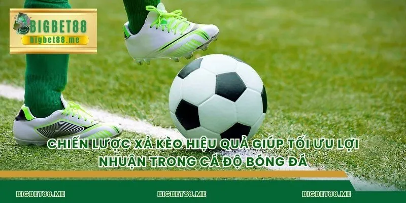 Chiến lược xả kèo hiệu quả giúp tối ưu lợi nhuận trong cá độ bóng đá