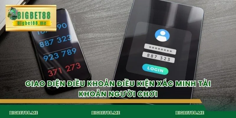 Giao diện điều khoản điều kiện xác minh tài khoản người chơi