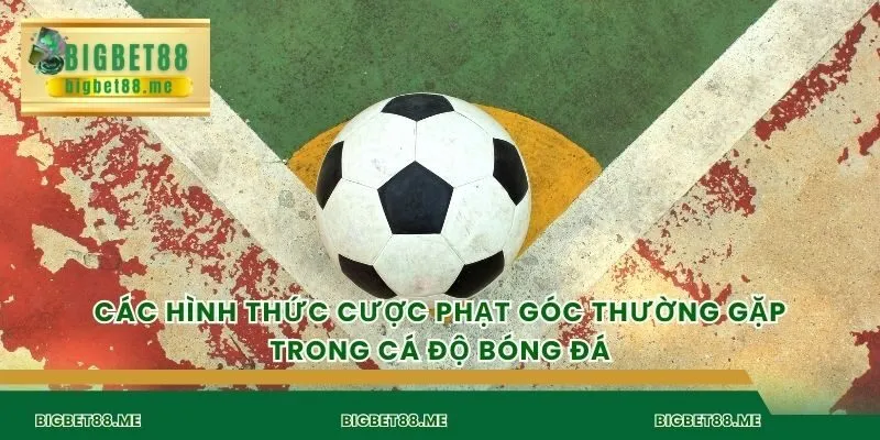 Các hình thức cược phạt góc thường gặp trong cá độ bóng đá