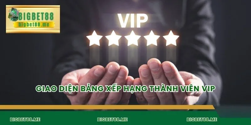 Giao diện bảng xếp hạng thành viên VIP