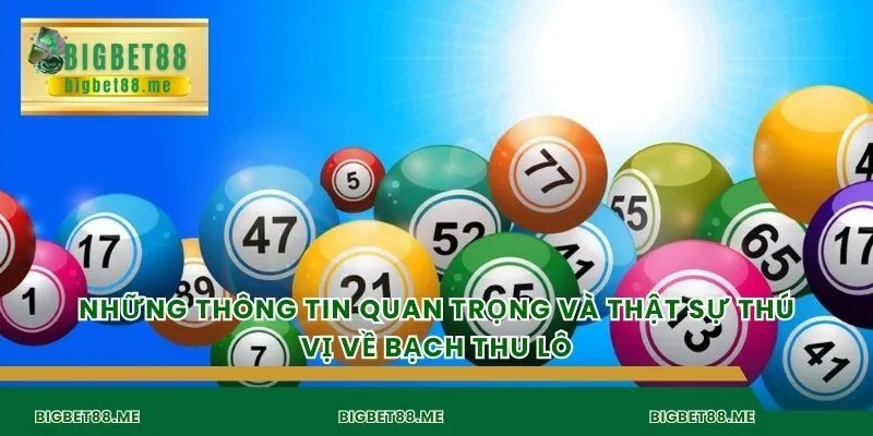 Những thông tin quan trọng và thật sự thú vị về bạch thu lô