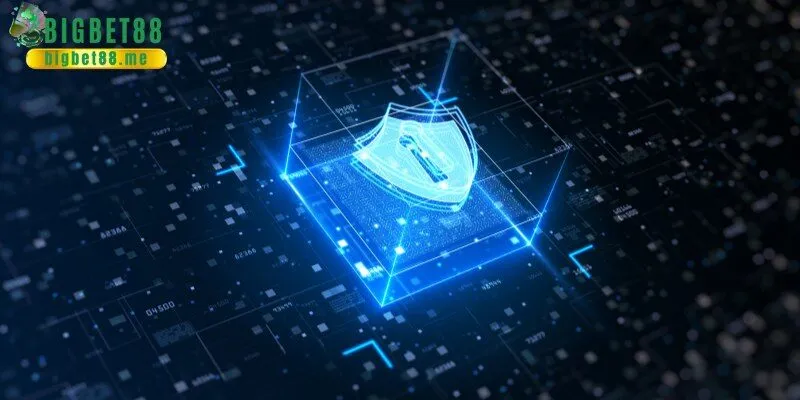 Quyền Riêng Tư Tại BigBet88: Những Điều Cần Biết