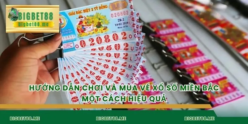 Hướng dẫn chơi và mua vé xổ số miền Bắc một cách hiệu quả